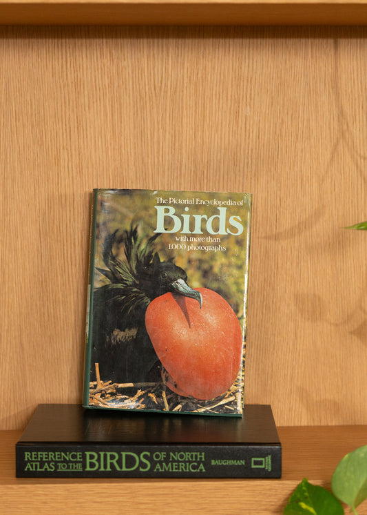 Vintage book titled 'Birds' with a cover featuring a bird on a wooden shelf.