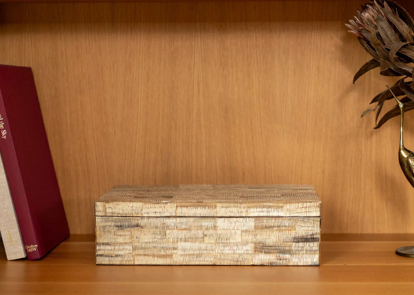 vintage shell box on a wooden shelf with a book and decorative plant in the background