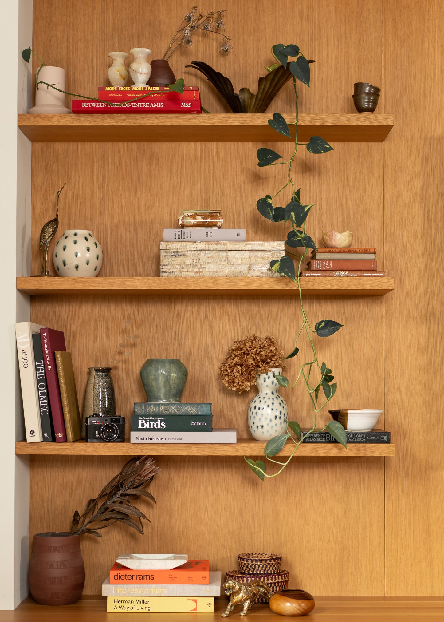 Wooden shelves with books and vintage decorative items against a wooden wall.