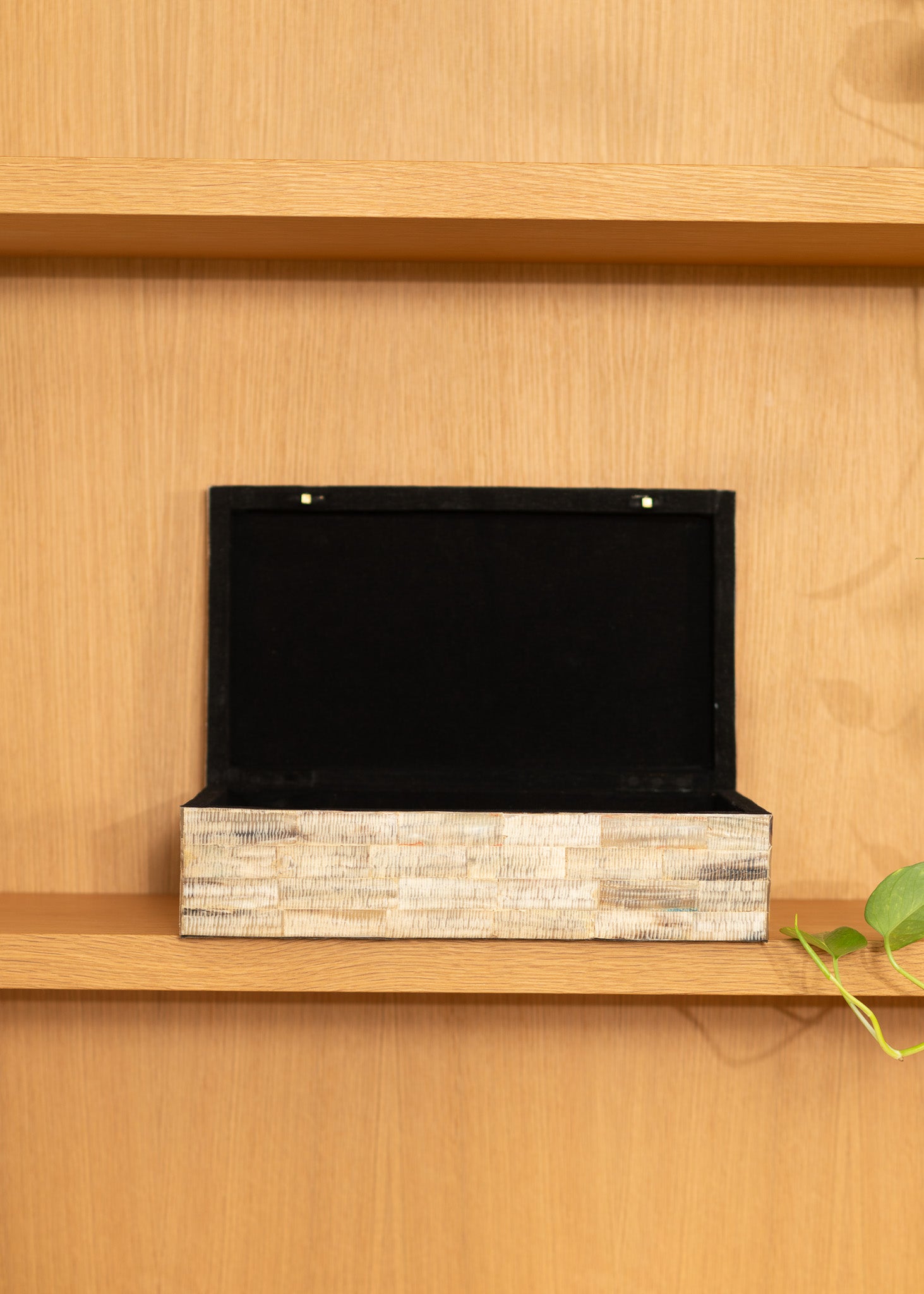 vintage black velvet lined shell covered jewelry box with wooden base on a wooden shelf