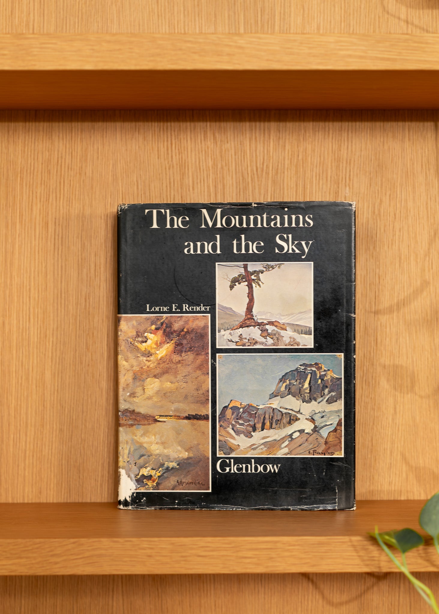 Vintage book titled 'The Mountains and the Sky' by Lorne E. Renberg on a wooden shelf.
