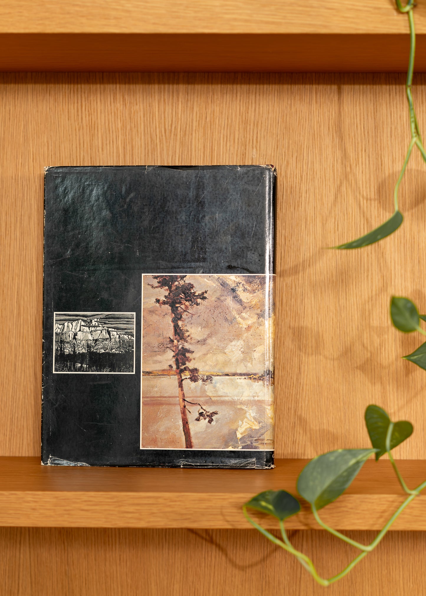 Vintage book with a black cover and a smaller image on a wooden shelf
