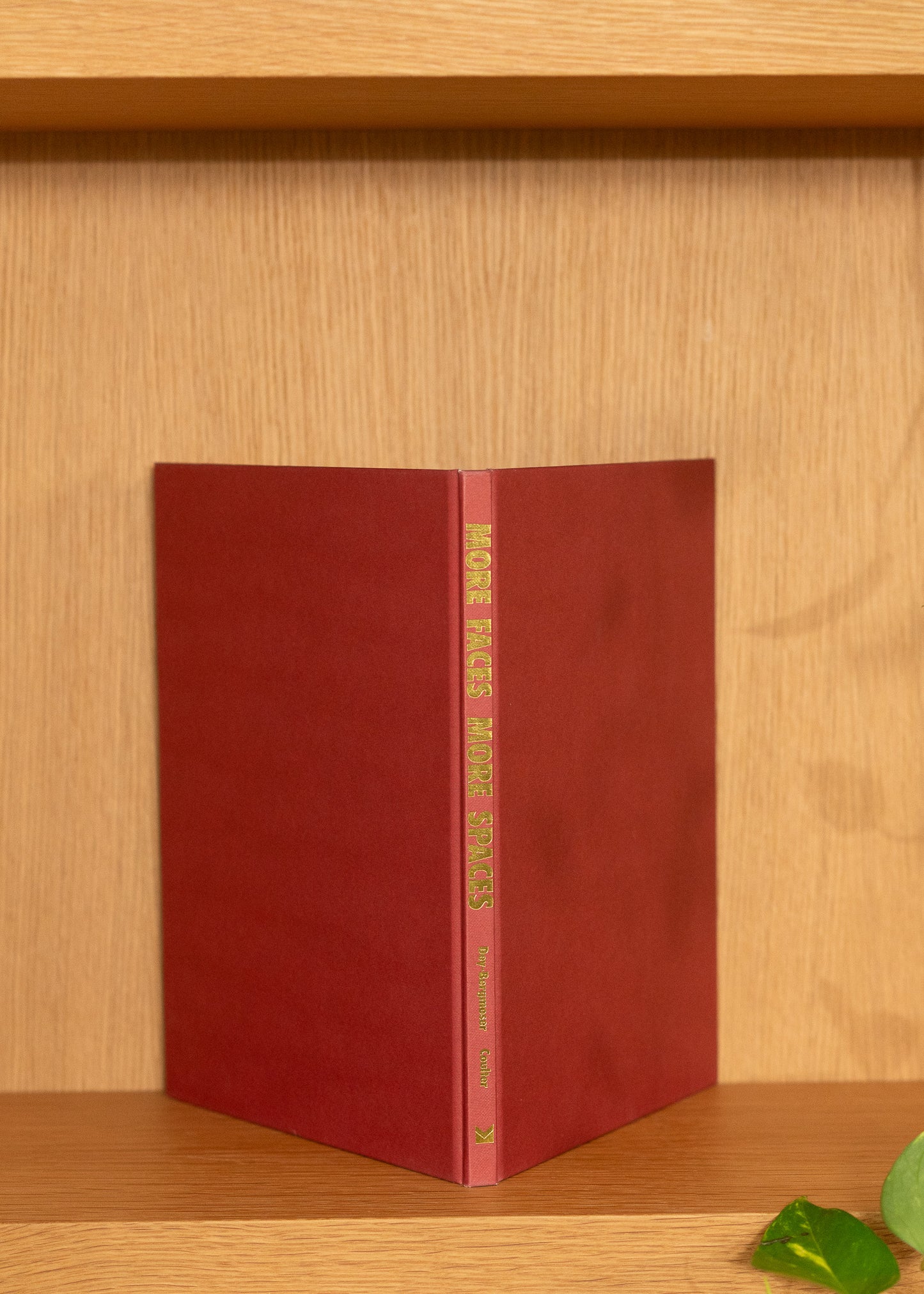 Red vintage book with gold text on a wooden shelf