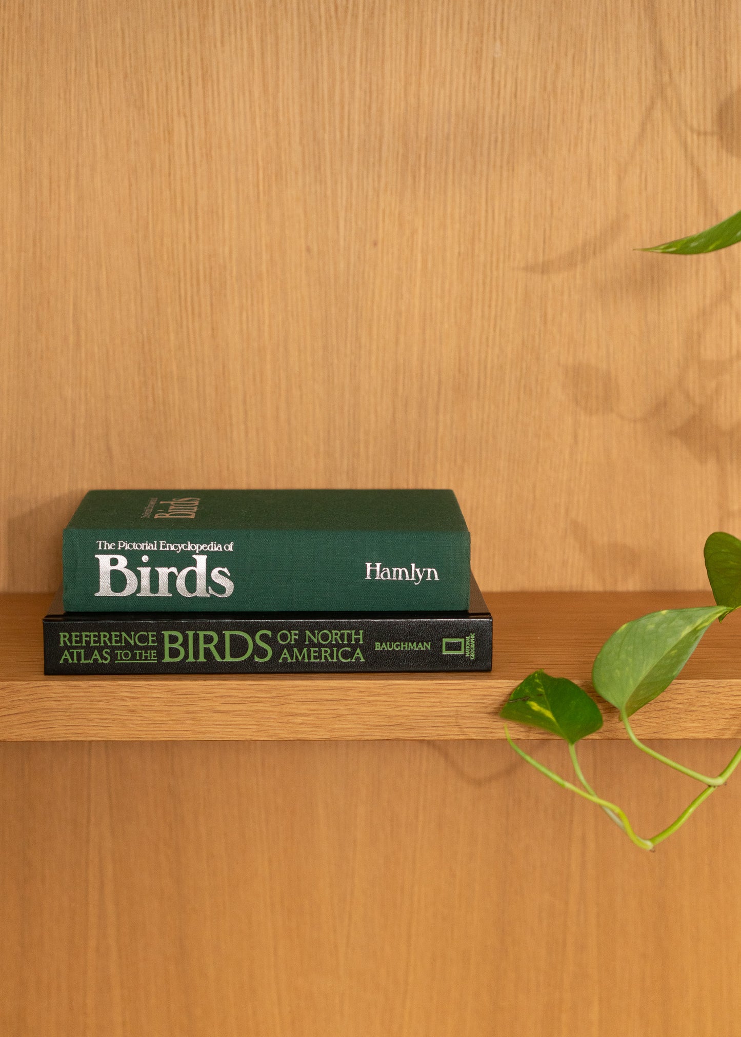 Two vintage birding books on a wooden shelf with a plant in the corner