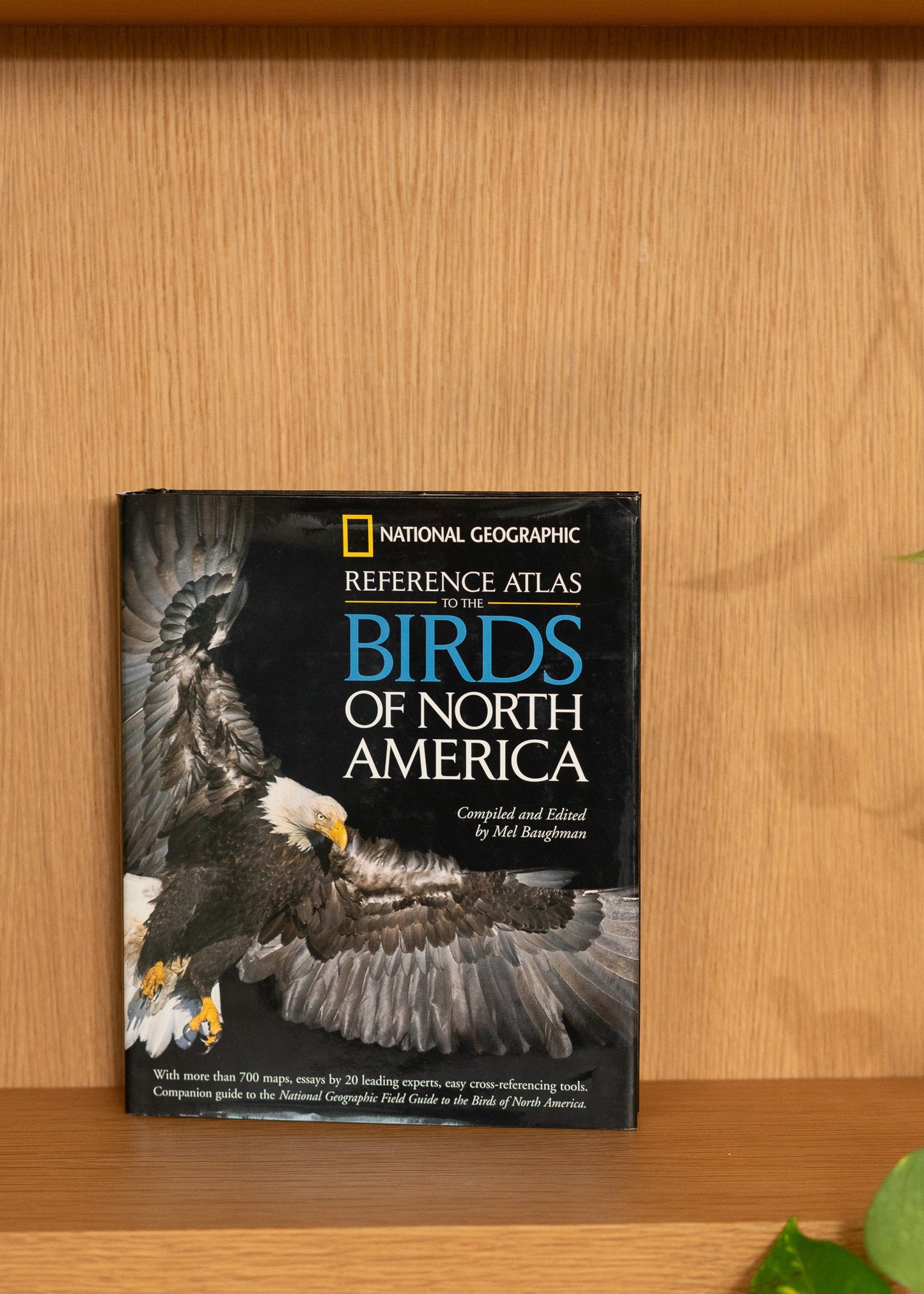 Vintage National Geographic Reference Atlas of Birds of North America on a wooden surface