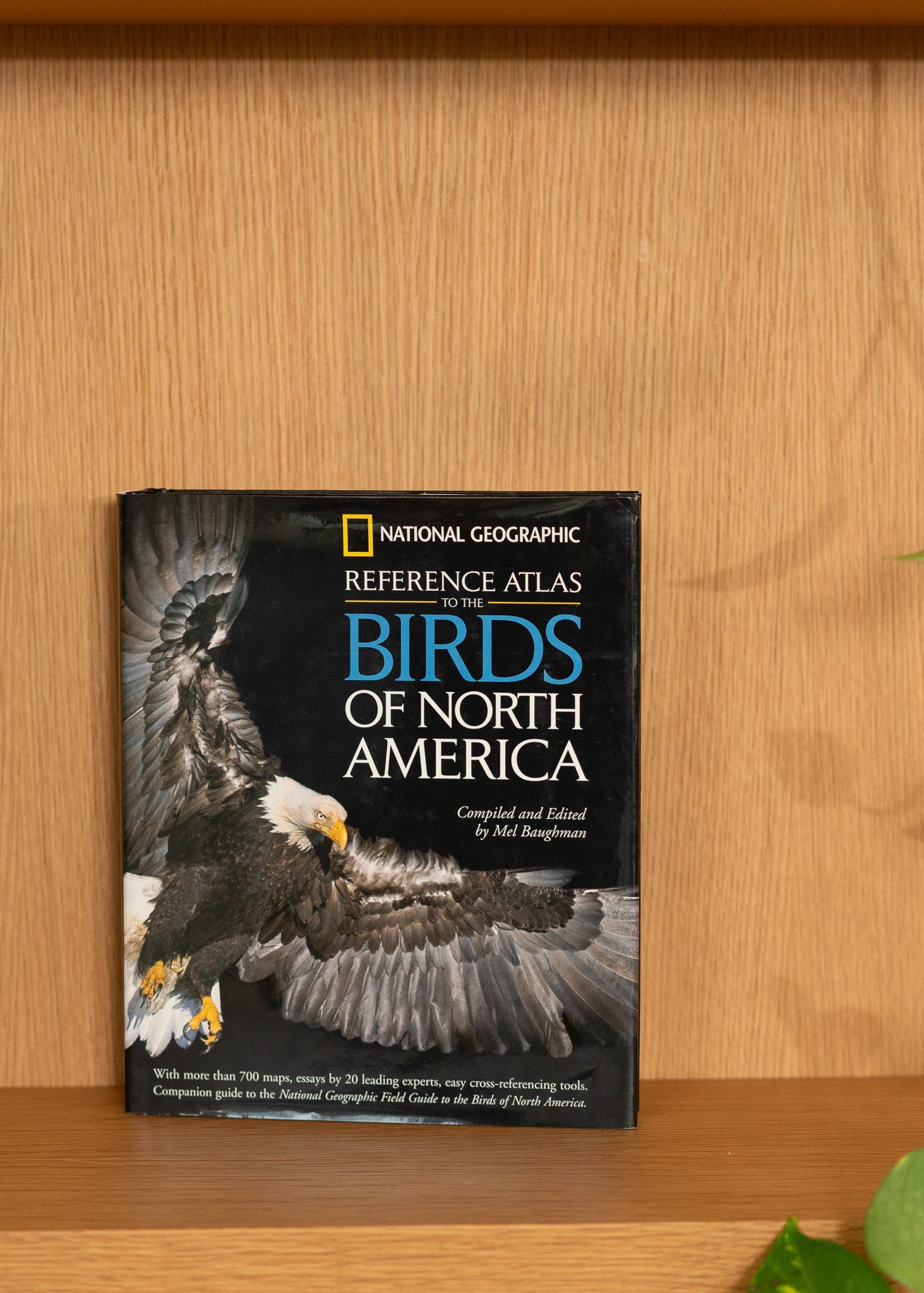 Vintage National Geographic Reference Atlas of Birds of North America on a wooden surface
