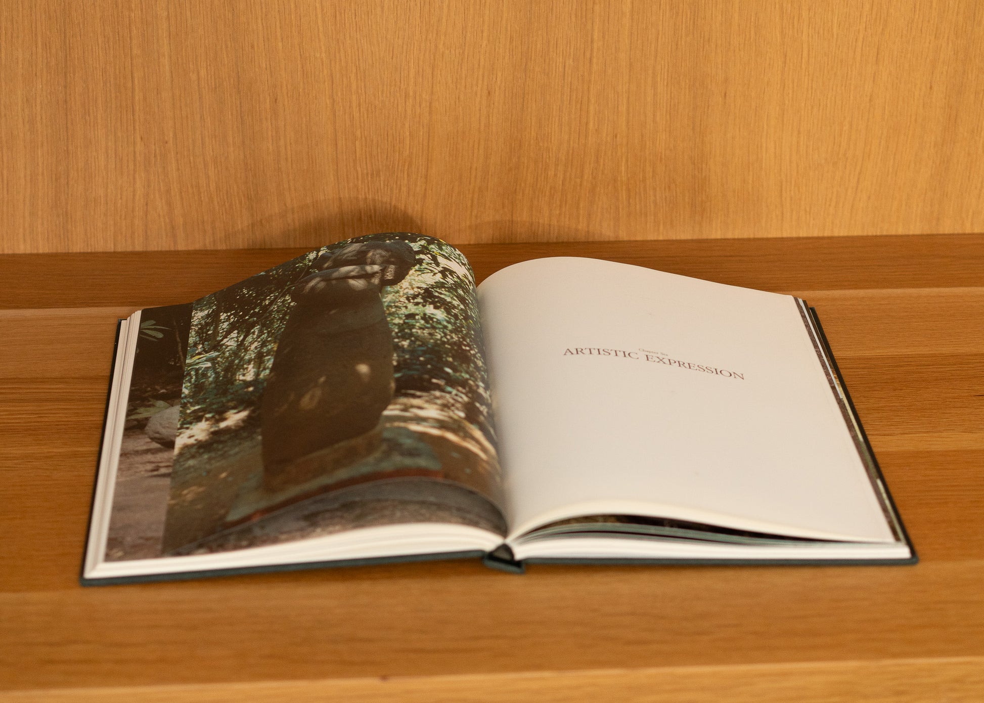 Open book on a wooden surface with a photograph of a sculpture in nature.