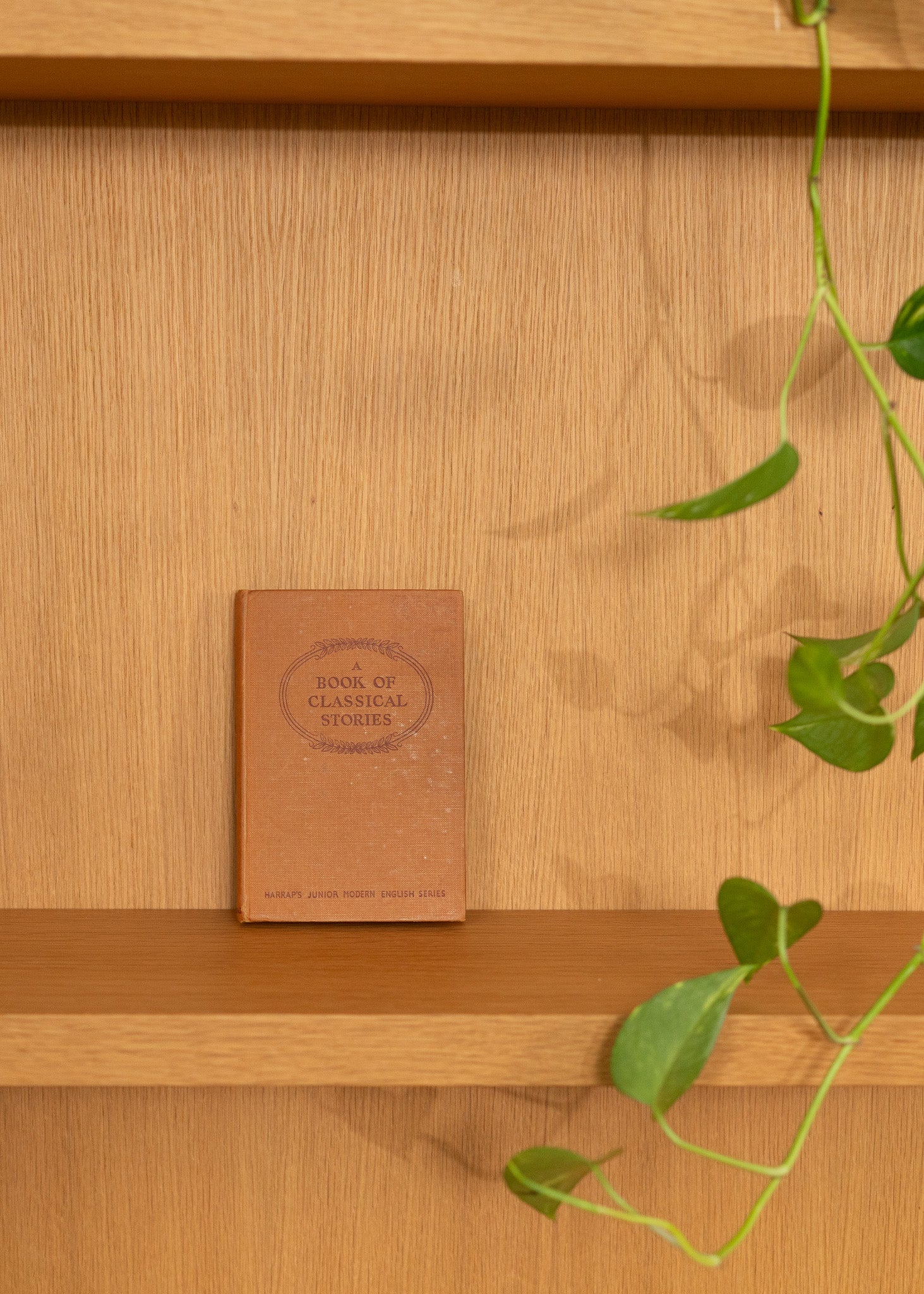 Brown vintage Greek classical stories book on a wooden shelf with a plant in the foreground