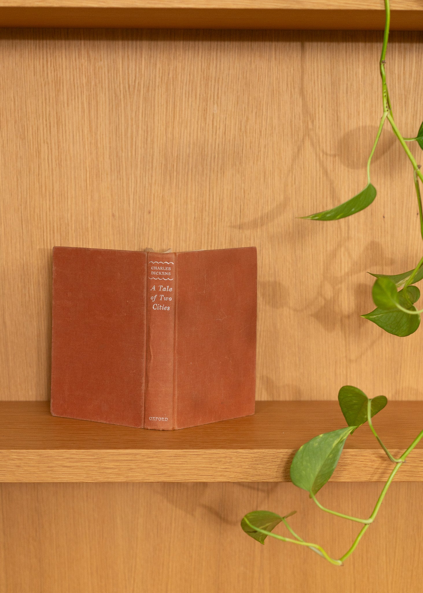Vintage brown leather book on a wooden shelf with a plant in the foreground