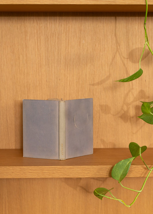 Open blue vintage book on a wooden shelf with a plant in the background