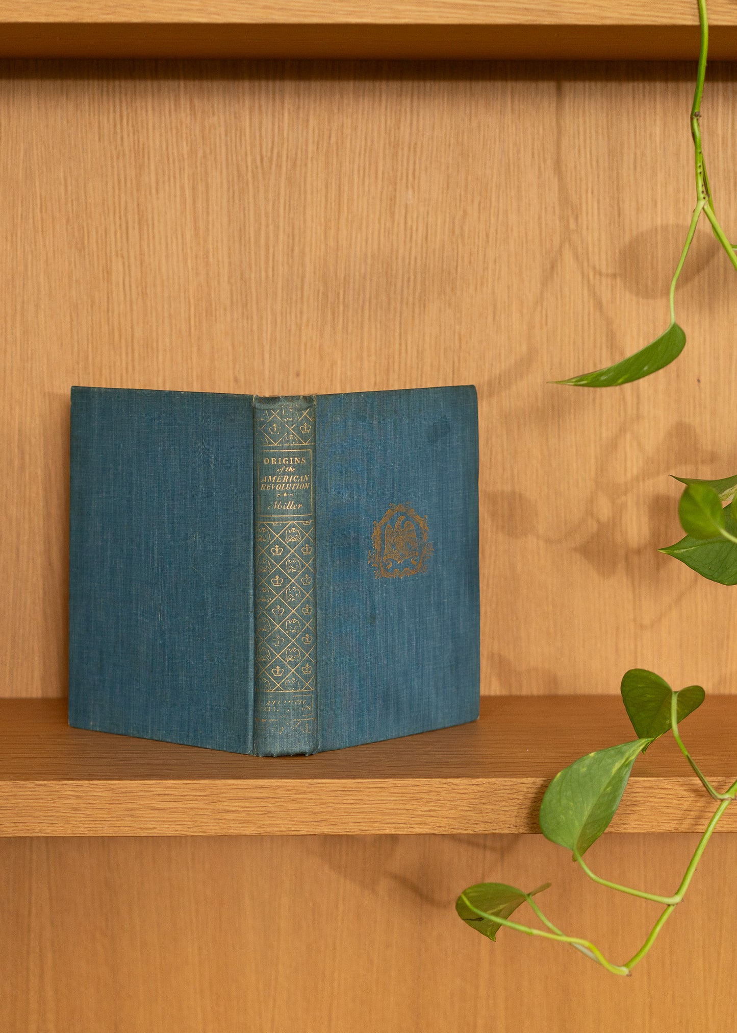 vintage blue book with decorative spine on a wooden shelf