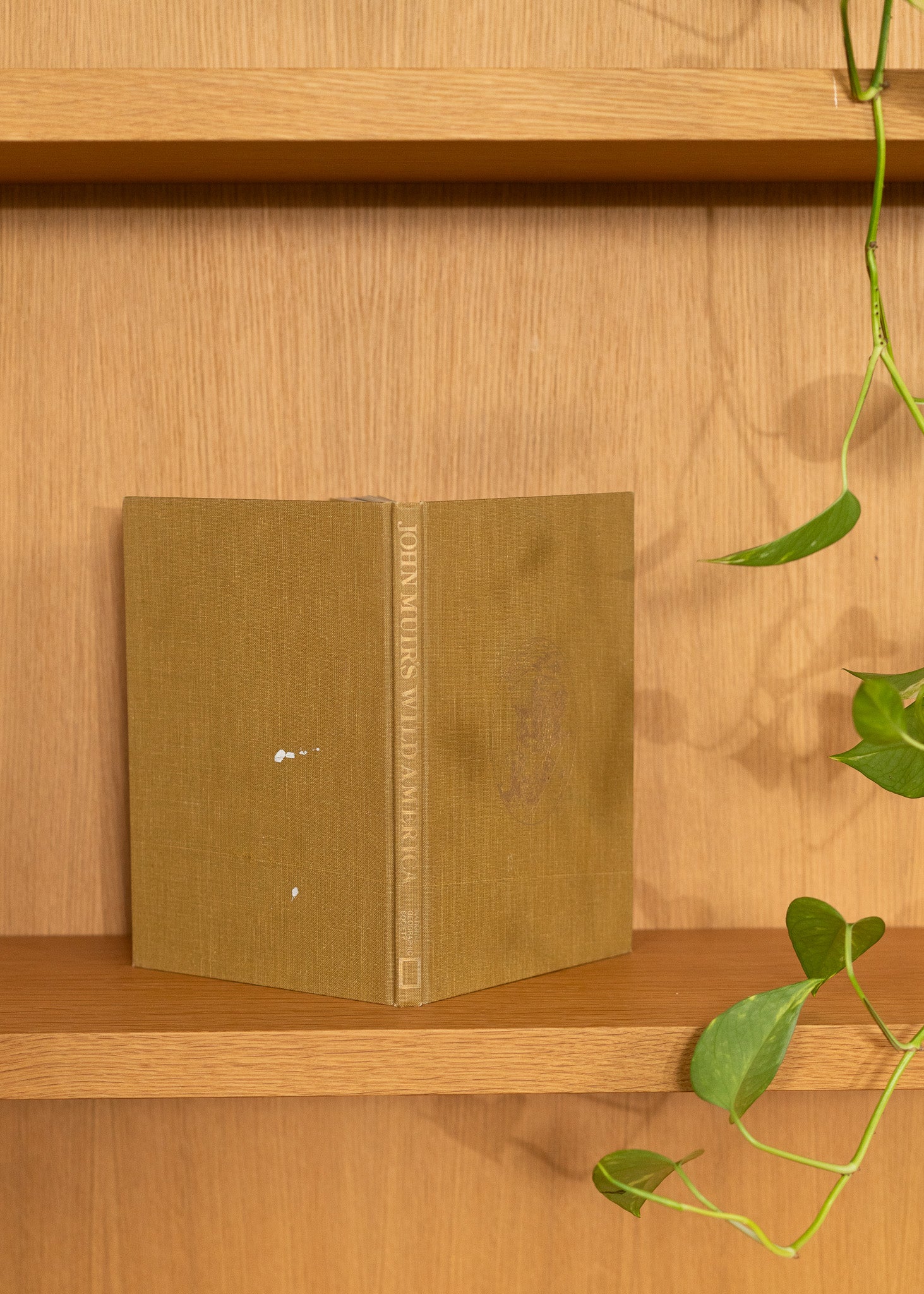 vintage brown book on a wooden shelf with a plant in the background
