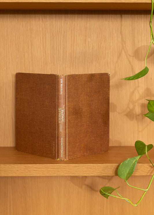 Brown vintage bound book on a wooden shelf with a plant in the background