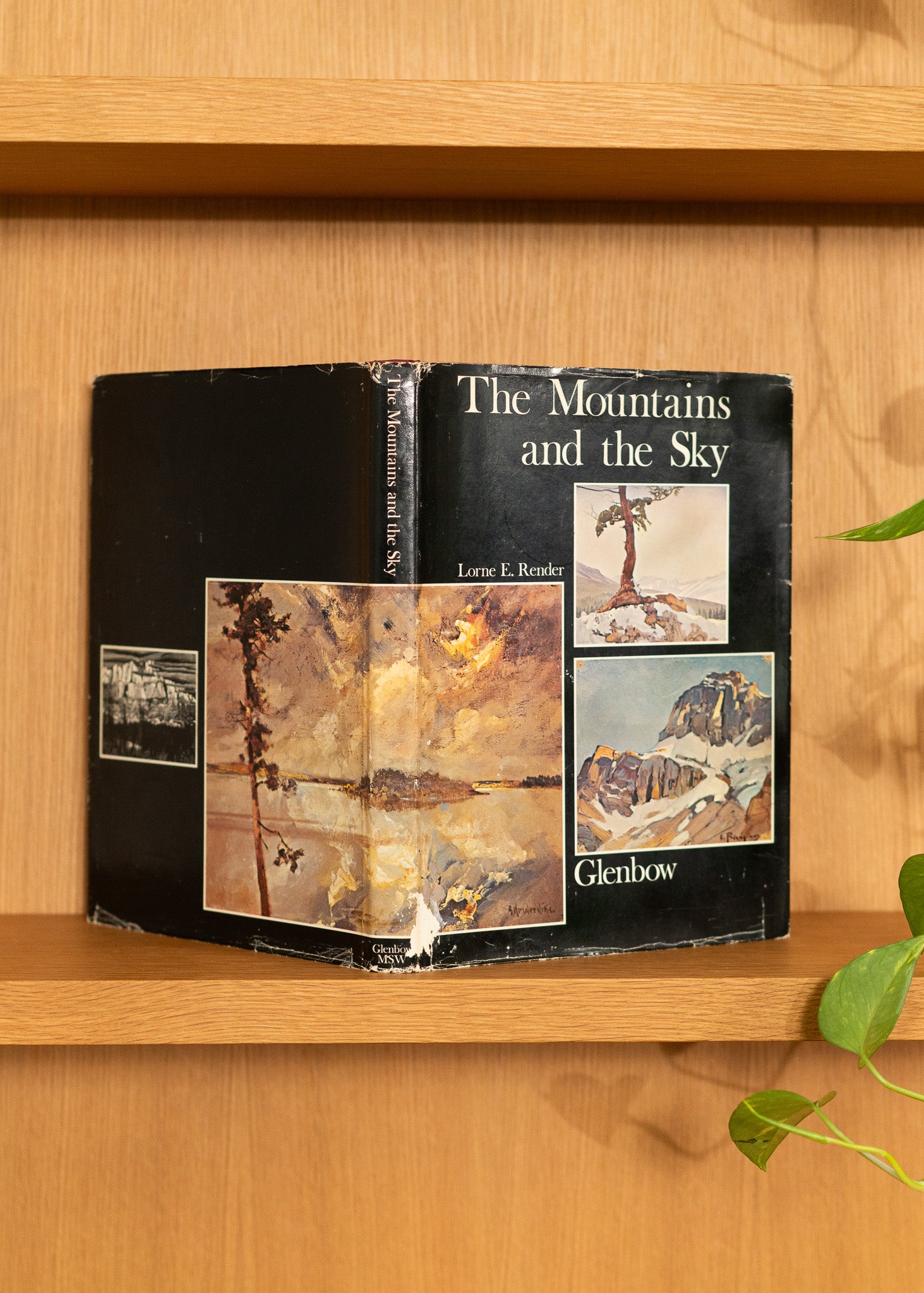 Vintage book titled 'The Mountains and the Sky' by Glenbow on a wooden shelf.